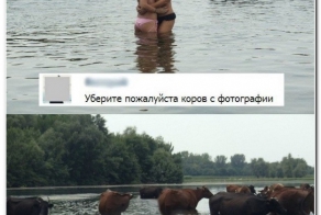 Смешные комментарии из социальных сетей 23.07.14