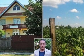 Вместо дома кукурузное поле