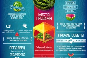 Все про арбуз