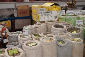 Смешные объявления и надписи