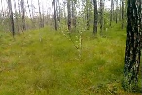 Сибирь