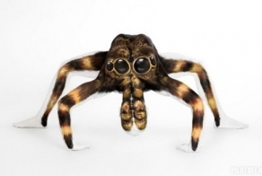 Модель превращается в тарантула