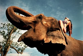 Фотоподборка за 25.07.2014