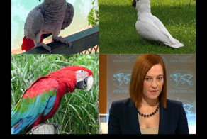 Демотиватор