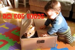 Дети и животные