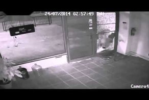 Мир в котором мы живём! №2