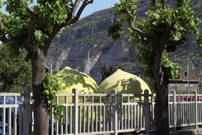 Экскурсия на фабрику моцареллы