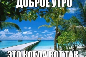 Фишкина солянка за 28.07.2014