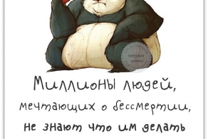 Фишкина солянка за 29.07.2014