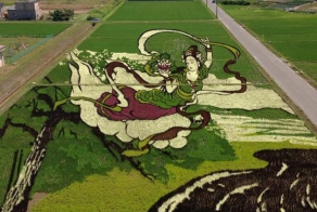 Farmers In Japan Transform Their Rice Paddies Into Living Works Of Art