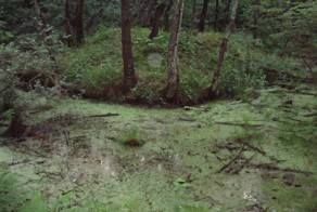 13 аномальных мест Москвы и Подмосковья которые стоит посетить!