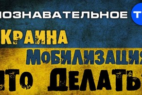 Украина. Мобилизация. Что делать