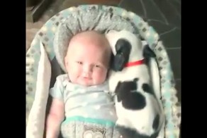 Классные видюхи ))))