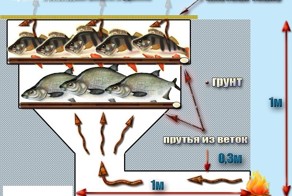 Рыбачки тут есть?