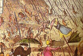 Необычные дожди: из лягушек, кровавый дождь и не только