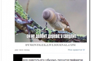 Смешные комментарии из социальных сетей 31.07.14