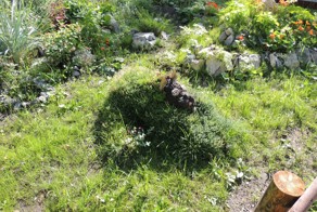 Шедевры шизофрении в Новосибирске