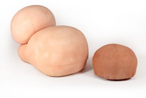 Мебель из человеческой плоти