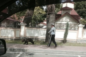 Такое возможно только в России