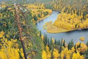 Оуланка: парк, впечатляющий своим разнообразием