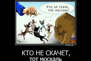 Вы скачете, а мы летаем