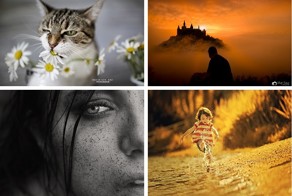 20 лучших фотографий недели