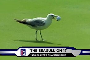 Гольф - Топ 10: Вмешательств животных