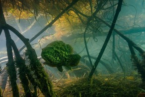 Фотографии National Geographic