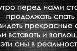 Фишкина солянка