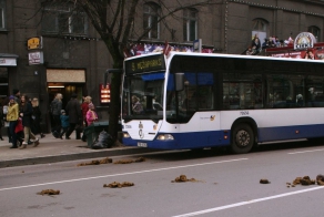 Сроки разложения мусора в фотографиях