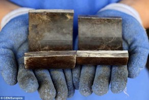 Смертельный ошейник (5 фото)