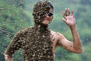 Чемпионат по приманиванию пчел в Китае