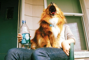 Поймать момент