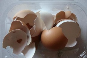 Десять поводов не выбрасывать яичную скорлупу