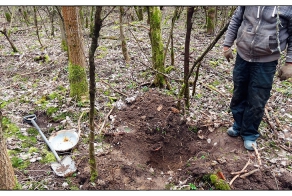 Клад  с немецкой посудой