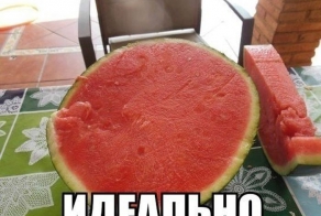 Фишкина солянка за 07.08.2014
