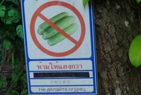 Уморительный перевод