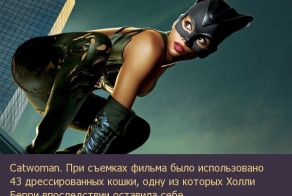 Коллекция кинофактов