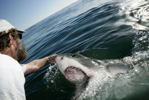 Фотографии, сделанные в нужный момент