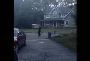 Медведь гуляет на двух лапах