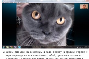 Злопамятный кот