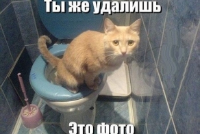 Смешные картинки с подписями