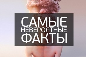Самые невероятные факты со всего мира
