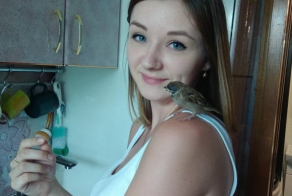  Мой крылатый друг, история о птенце воробья