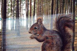 Лесной стрит-арт от Ches