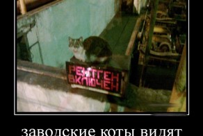 Демотиваторы