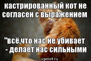 Прикольные фотографии с текстом