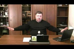 Александр Петров. О русском оружии