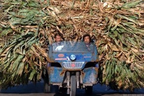 За одну поездку