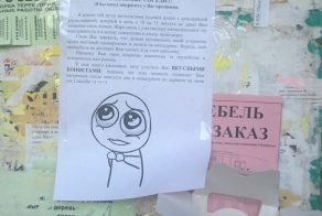 Совестливый сосед